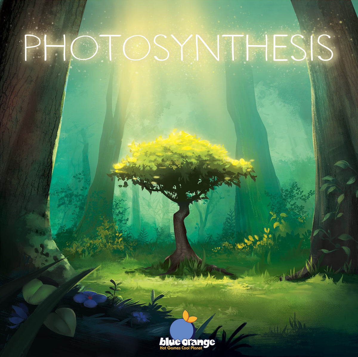 Photosynthesis box cover